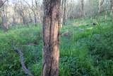 2004 136th Lane - Photo 49
