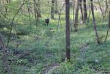 2004 136th Lane - Photo 61