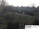 573 154th - Photo 16