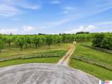 7851 David Drive - Photo 11