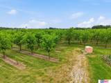 7851 David Drive - Photo 14