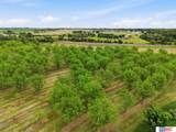 7851 David Drive - Photo 6