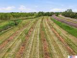 7851 David Drive - Photo 7