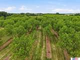 7851 David Drive - Photo 8