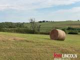 13121 Rokeby Road - Photo 70