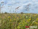 13121 Rokeby Road - Photo 82
