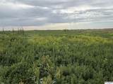 10 acres Country Road 10 - Photo 15