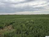10 acres Country Road 10 - Photo 20