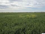 10 acres Country Road 10 - Photo 21
