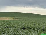 88 Acres County Road - Photo 3