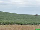 88 Acres County Road - Photo 4