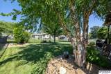 4801 Landsberry Lane - Photo 49