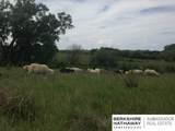 573 154th - Photo 14