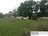 573 154th - Photo 17