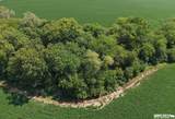 71.11 Acres - B Road - Photo 11