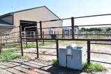 86638 Moon Lake Avenue - Photo 4