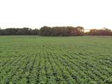 0000 D County Road - Photo 12