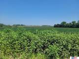 1424 Crooked Mile Road - Photo 3