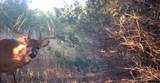 80260 Highway 11 Highway - Photo 15