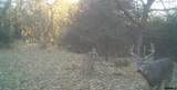 80260 Highway 11 Highway - Photo 18