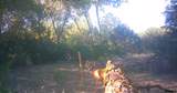 80260 Highway 11 Highway - Photo 20