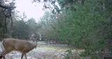 80260 Highway 11 Highway - Photo 21