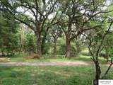 11803 25th Street - Photo 4