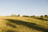 0000 24 Road - Photo 54