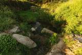 0000 24 Road - Photo 57