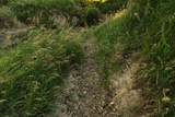0000 24 Road - Photo 76