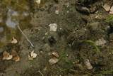 0000 24 Road - Photo 78