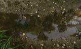 0000 24 Road - Photo 79