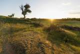 0000 24 Road - Photo 94