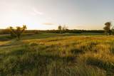 0000 24 Road - Photo 96