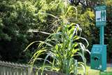 12728 Deauville Drive - Photo 36