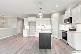10403 Cimarron Street - Photo 14