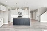 10411 Cimarron Street - Photo 12