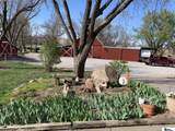 13401 Adams Street - Photo 41