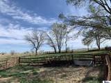 13401 Adams Street - Photo 59