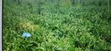 6690 148 Street - Photo 2