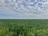 75 Acres County Road K - Photo 9