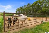 2158 County Road 32 - Photo 49