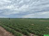81 Acres County Line Road - Photo 1