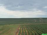 81 Acres County Line Road - Photo 2