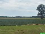 81 Acres County Line Road - Photo 3