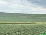 81 Acres County Line Road - Photo 4