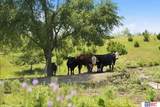 NoSitus Mckelvie And 140th - 153 Acres - Photo 30
