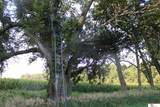 3612 Kenosha Road - Photo 45