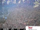 3612 Kenosha Road - Photo 5