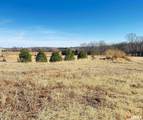 330 Cottonwood Court - Photo 1